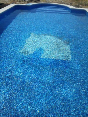 5 bedrooms villa with private pool jacuzzi and furnished garden at Daimiel Ciudad Real, Daimiel